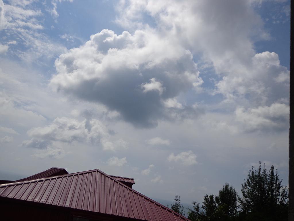 Guest House In Sarpi Ngoại thất bức ảnh